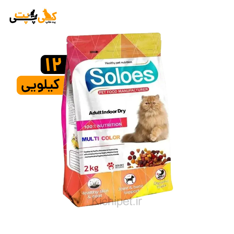 غذای خشک گربه Soloes Multicolor ایندور مولتی کالر