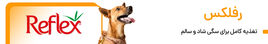 برند رفلکس Reflex - غذای سگ