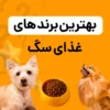 معرفی بهترین برندهای غذای سگ بهترین برندهای غذای سگ - معرفی برترین ها