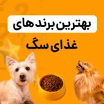 بهترین برندهای غذای سگ - معرفی برترین ها