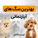 بهترین سگ های آپارتمانی (لیست بهترین سگ ها برای نگهداری خانه و آپارتمان)