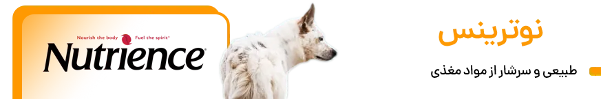 معرفی بهترین برند غذای سگ - نوترینس