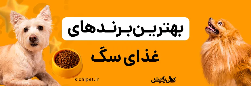 معرفی بهترین برندهای غذای سگ