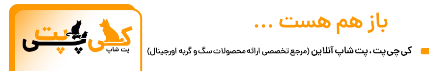 پت شاپ کی چی پت