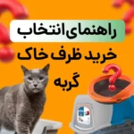 راهنمای انتخاب و خرید ظرف خاک مناسب گربه