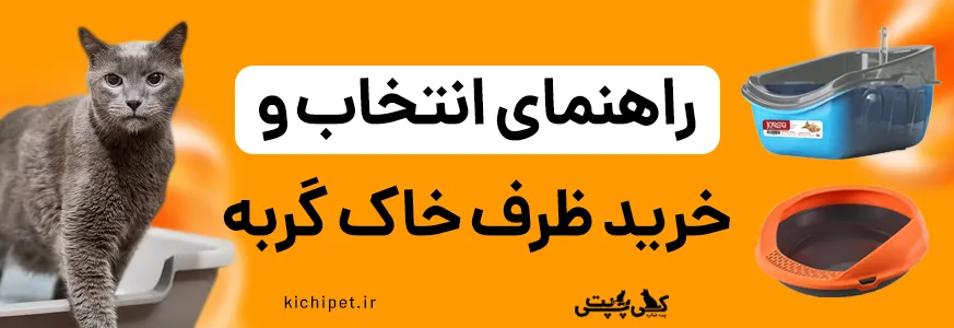 راهنمای انتخاب و خرید ظرف خاک گربه