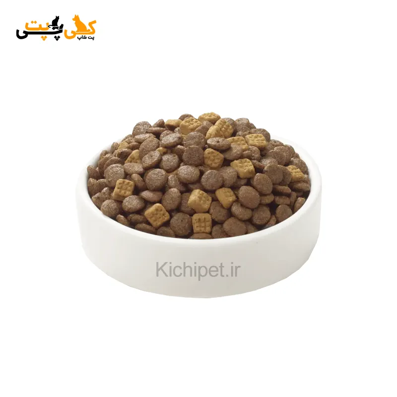 غذای خشک گربه ونپی طعم ماهی سالمون Wanpy Grain Free Salmon